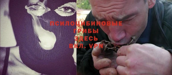 крисы Баксан