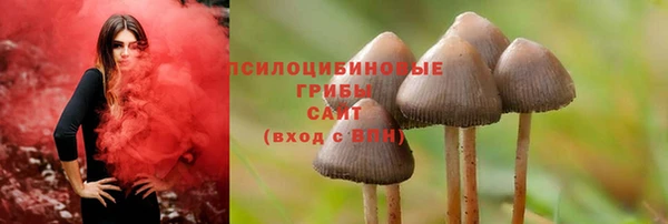 крисы Балабаново