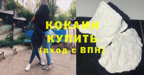 крисы Баксан
