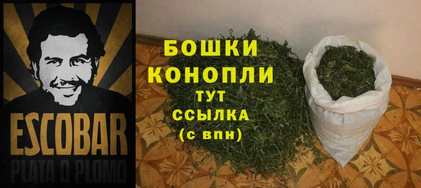 крисы Баксан