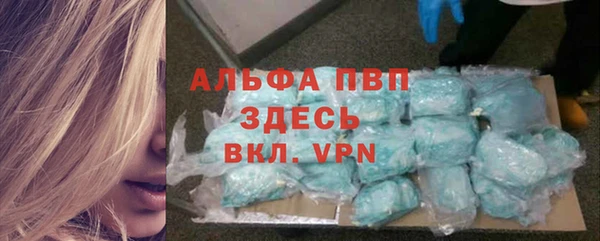 крисы Баксан