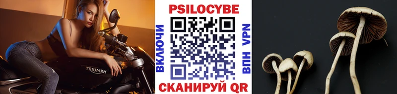 Купить  Гагарин  Галлюциногенные грибы мухоморы 