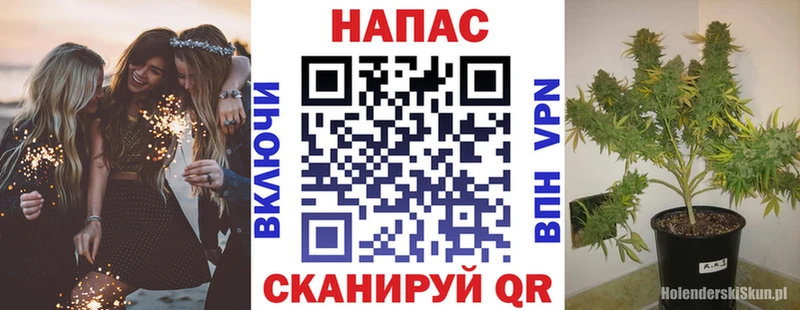 Конопля ГИДРОПОН  Купить где  Гагарин 